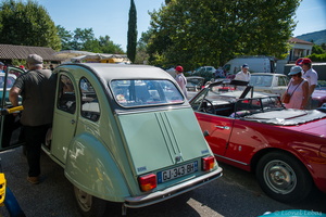 DFG 1001