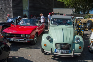 DFG 1003