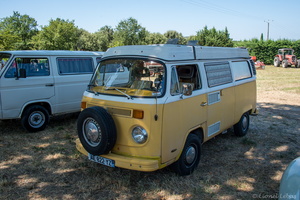 DFG 1295