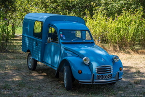 DFG 1301