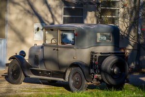 AAG 4599